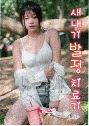 人文纪录片手艺的黄昏在线播放封面